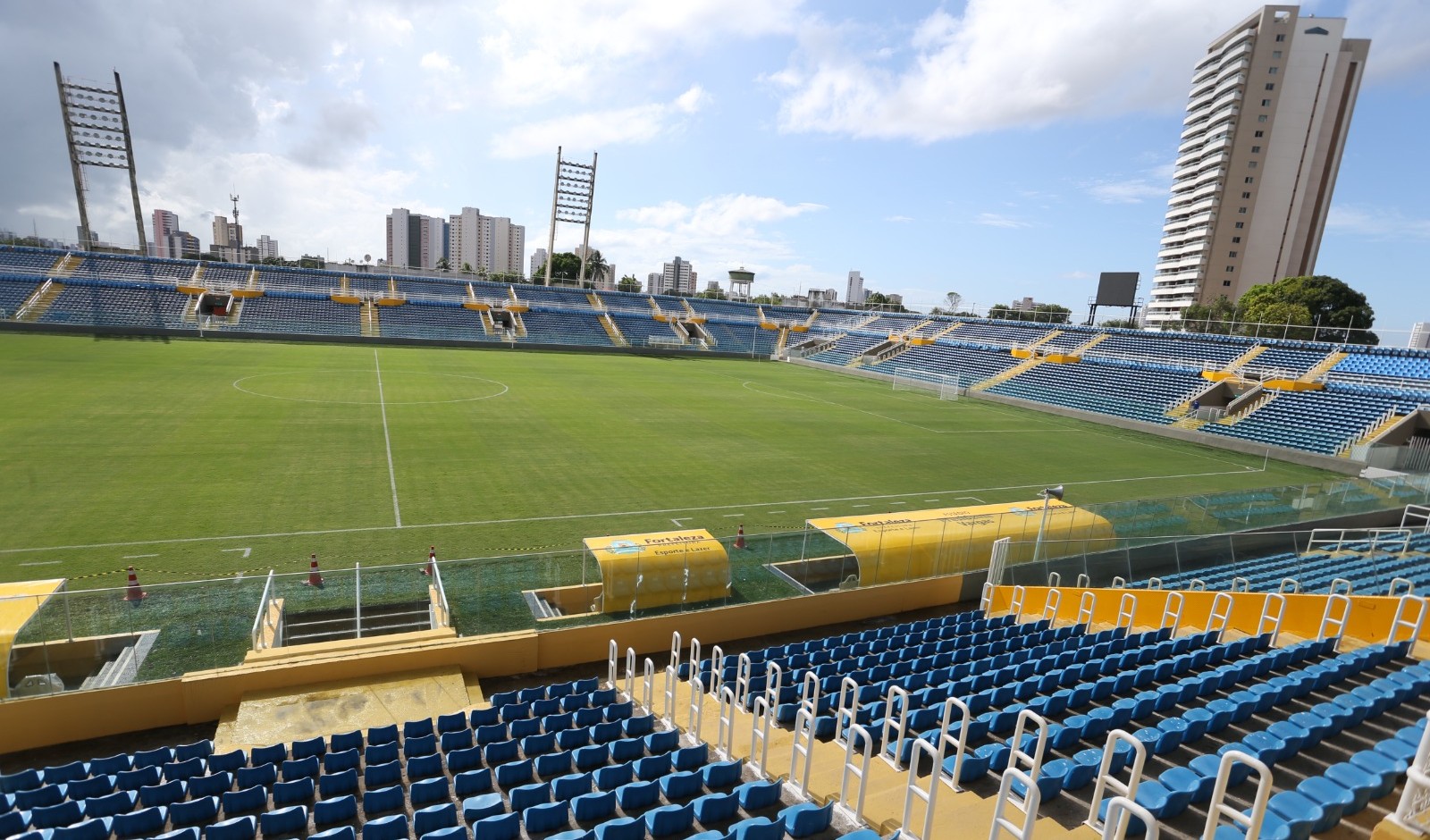 gramado do estádio PV